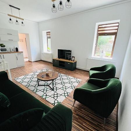 Apartament In Regim Hotelier King Mediaş エクステリア 写真
