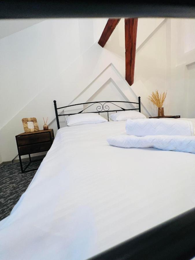 Apartament In Regim Hotelier King Mediaş エクステリア 写真