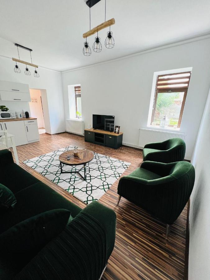 Apartament In Regim Hotelier King Mediaş エクステリア 写真