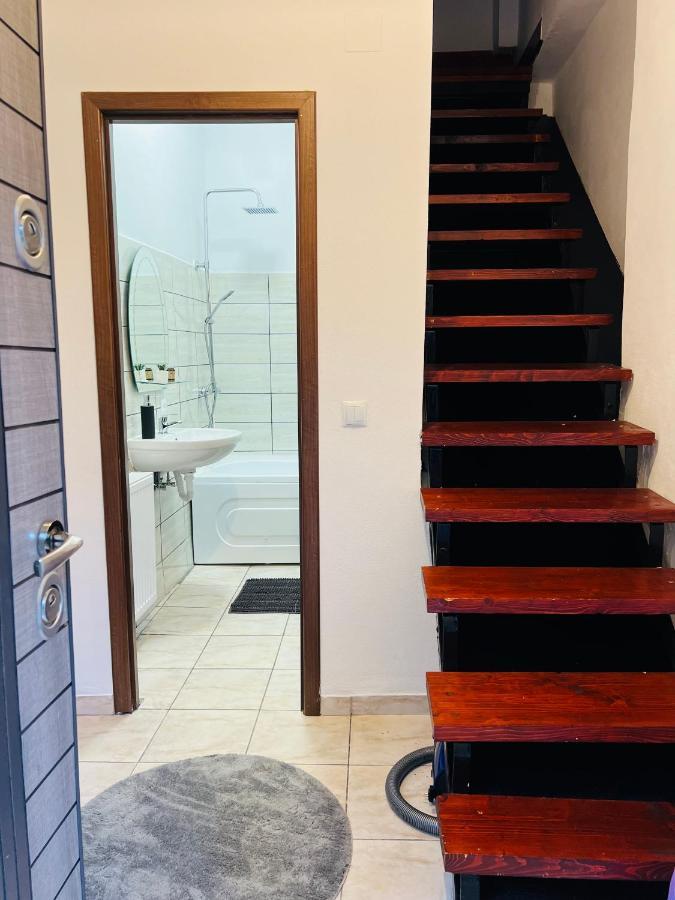 Apartament In Regim Hotelier King Mediaş エクステリア 写真
